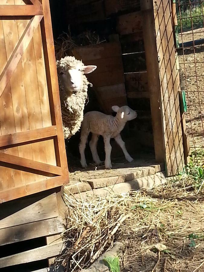 Tenuta Carabollace Sciacca Kültér fotó